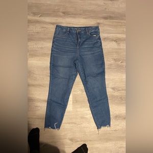 Curvy High Rise Jegging